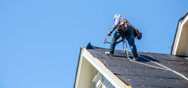 Best Roof Gutter Cleaning  in Burnet, TX